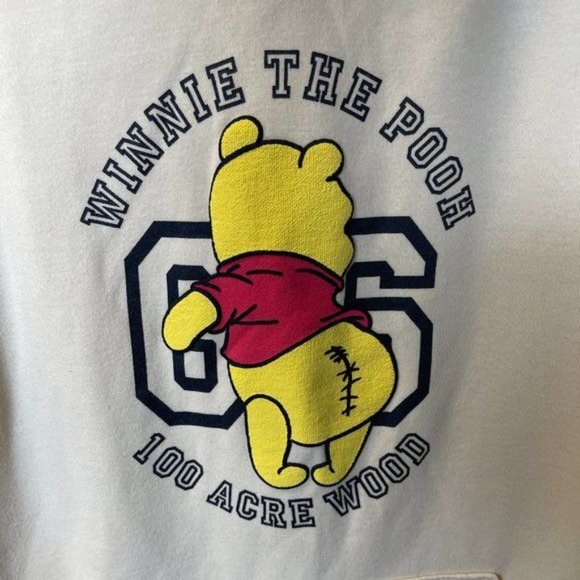 V.I.P Korea Winnie the Pooh - 100 Acre Wood Oversized Sweater Hoodie - Picture 3 of 4